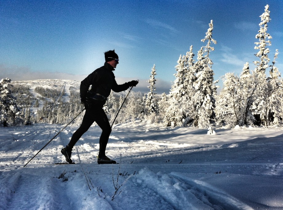 Blå himmel, skidspår och snötyngda träd.