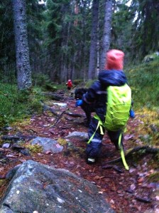 Skalman i skogen?