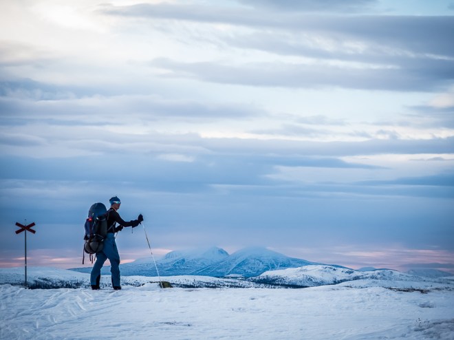 Sovande Dronning även kallad Rendalssölen i fjärran. Foto: David Erixon