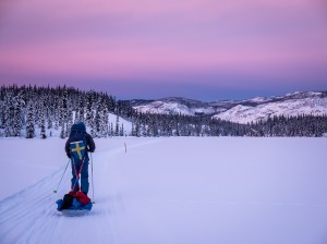 Blå timmen under Yukon Arctic Ultra Foto: David Erixon