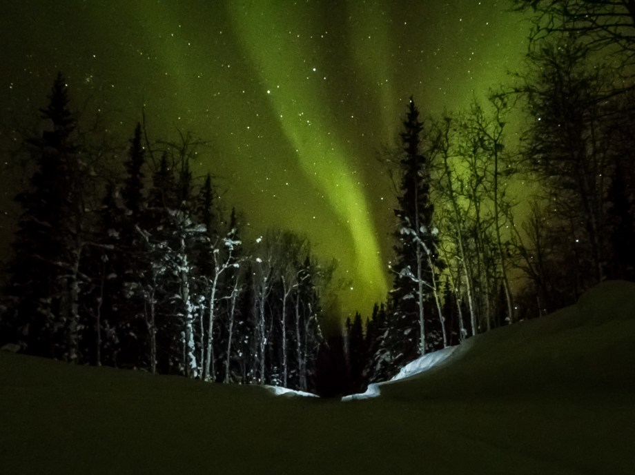 Att få skida fram i norrsken är verkligen De Luxe. Foto: David Erixon