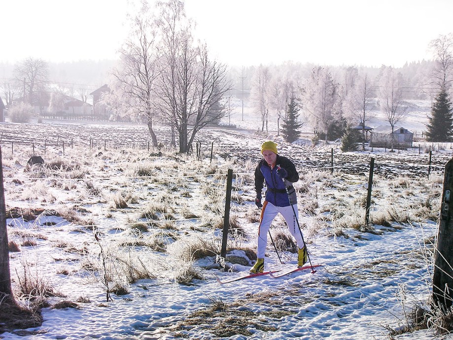 Skarskidåkning i Sevdabo.