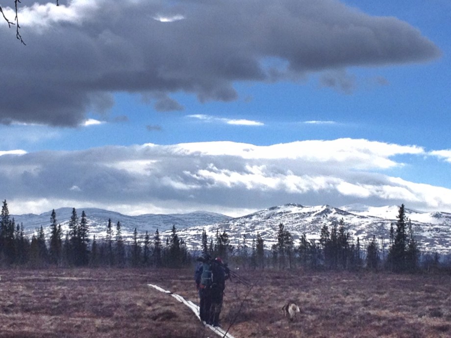 Fågelsjö med fjällutsikt.