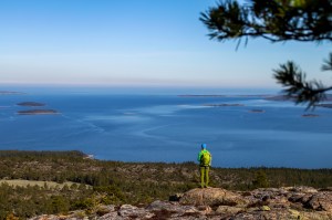 Skuleskogen Foto: Linnea Nilsson Waara